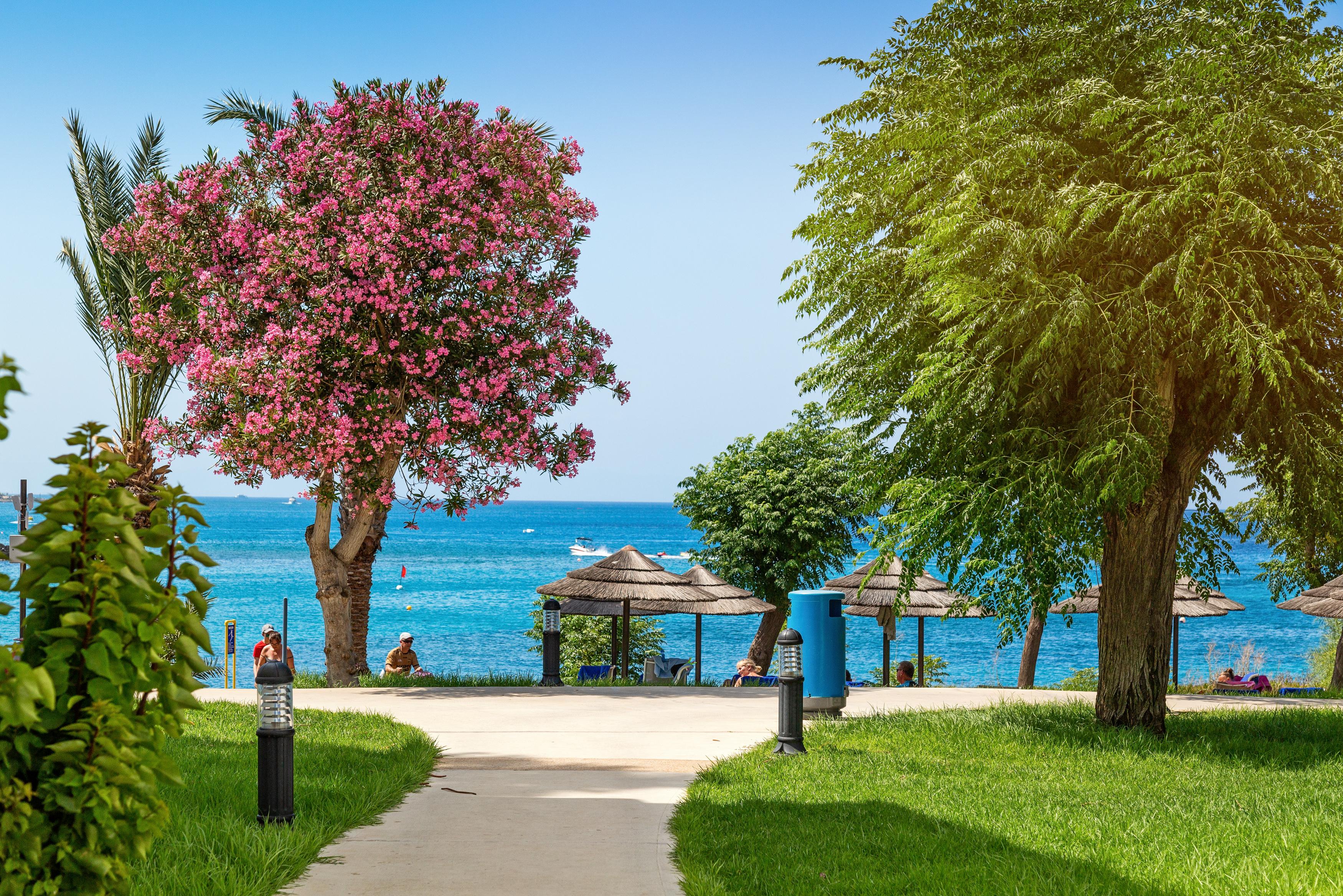 Nausicaa Beach Протарас Экстерьер фото